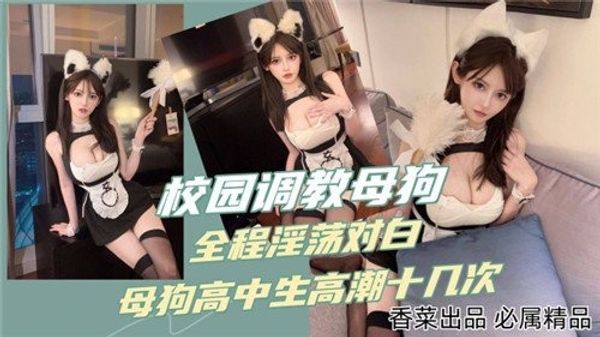 校园调教母狗，全程淫荡对白，母狗高中生高潮十几次